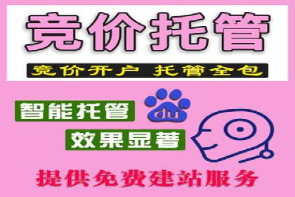 竞价推广SEM托管案例：优化策略成就品牌效应